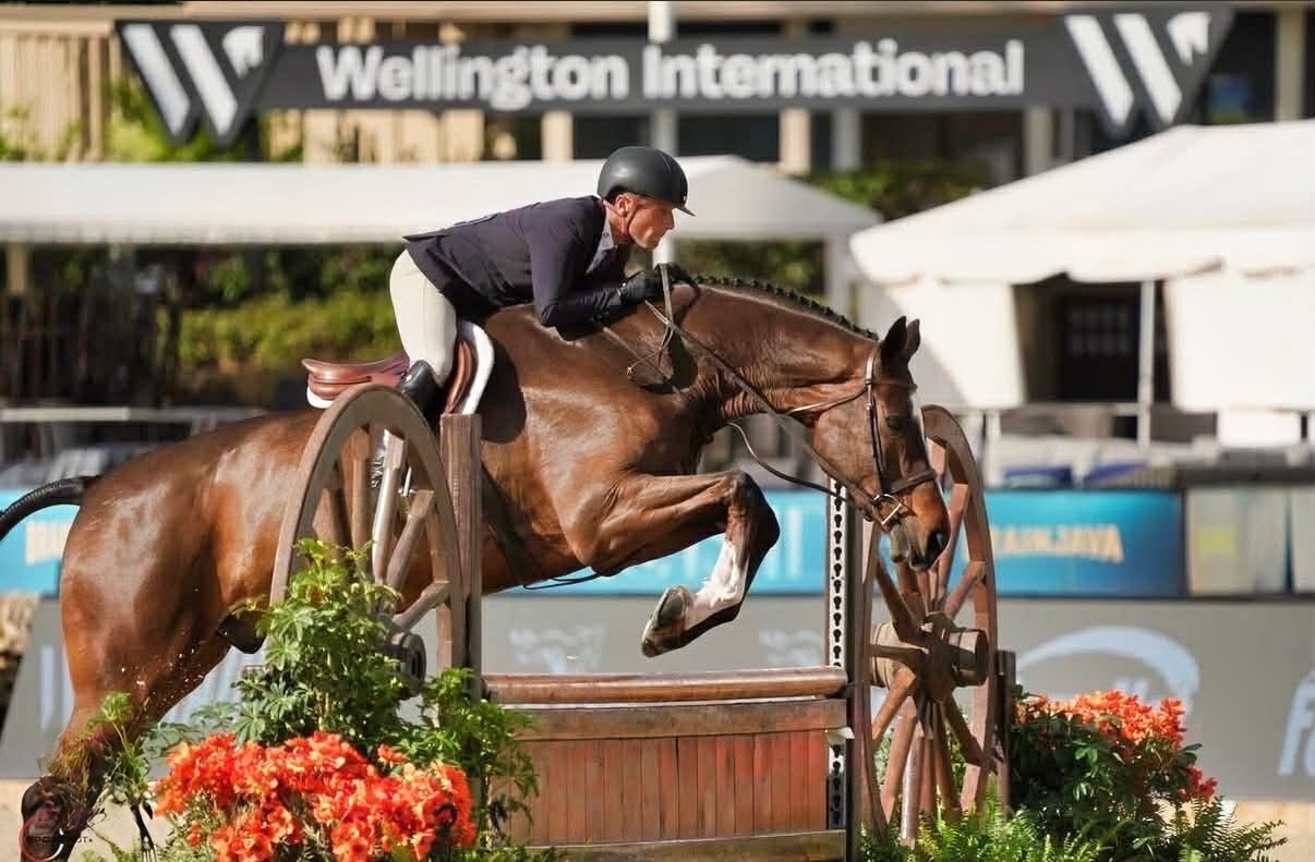 Renato Troiani - Blue Star Equestrian